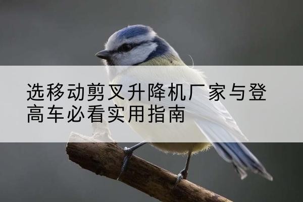 石台电动升降机厂家-选移动剪叉升降机厂家与登高车必看实用指南