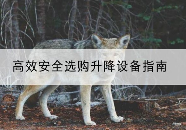 石台升降货梯厂家推荐-*安全选购升降设备指南