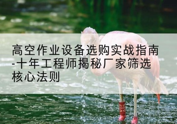 石台剪叉式升降机厂家-高空作业设备选购实战指南-十年工程师揭秘厂家筛选核心法则
